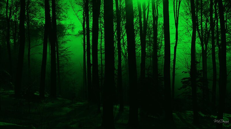green forest at night
