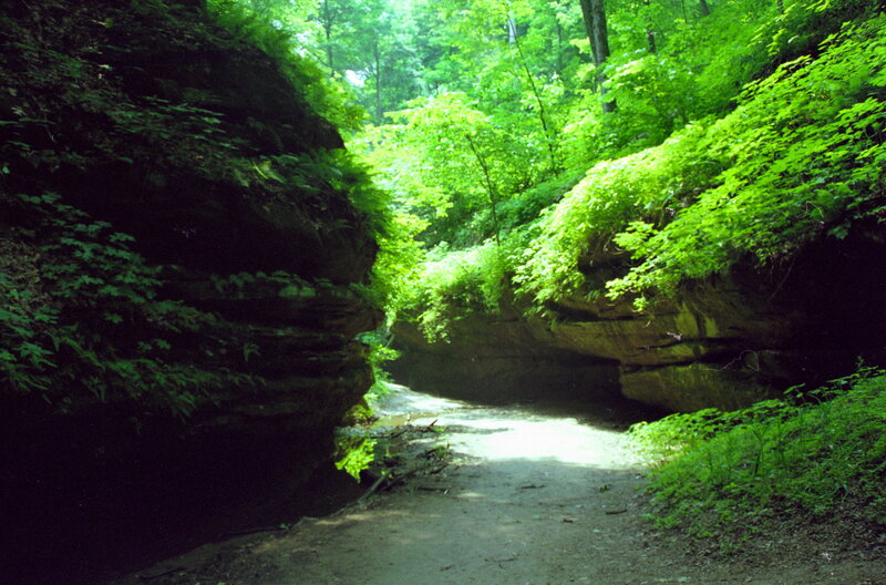 Green Forest Canyon