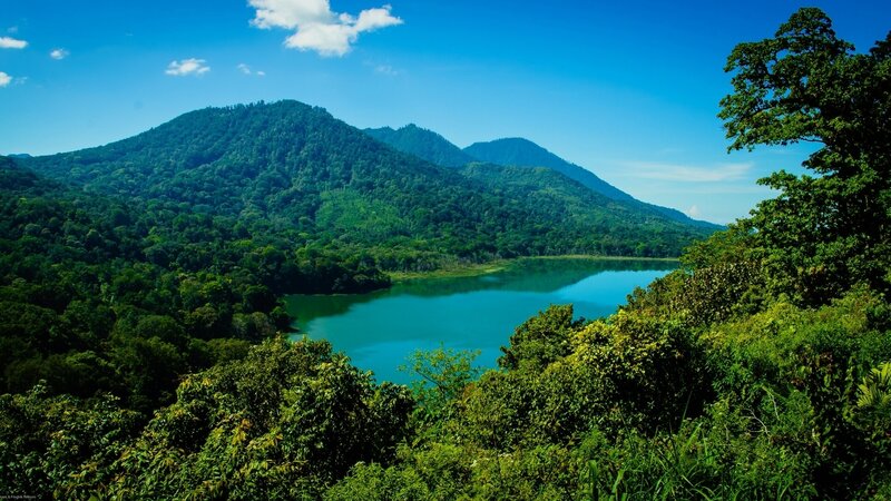 Green Forest Lake — Blue, Serene