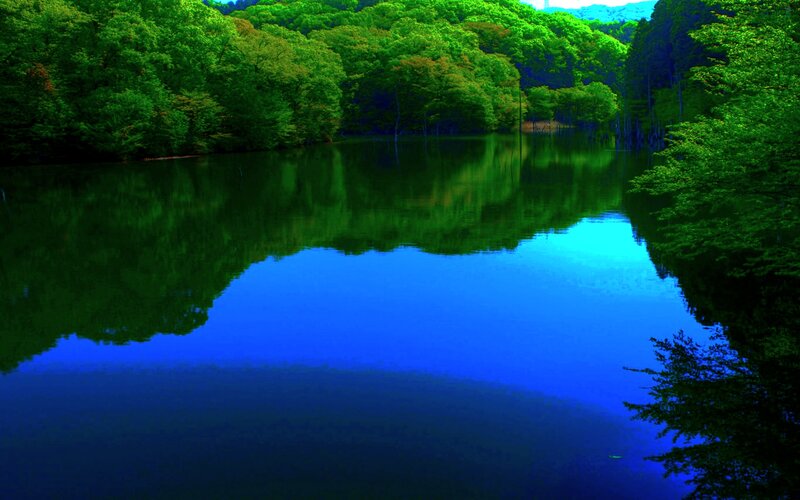 Green Forest Lake — Blue