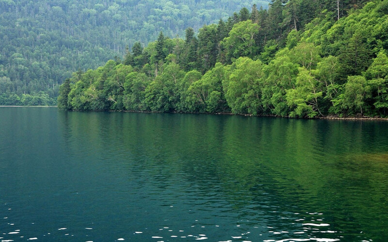 Green Forest Lake — Serene
