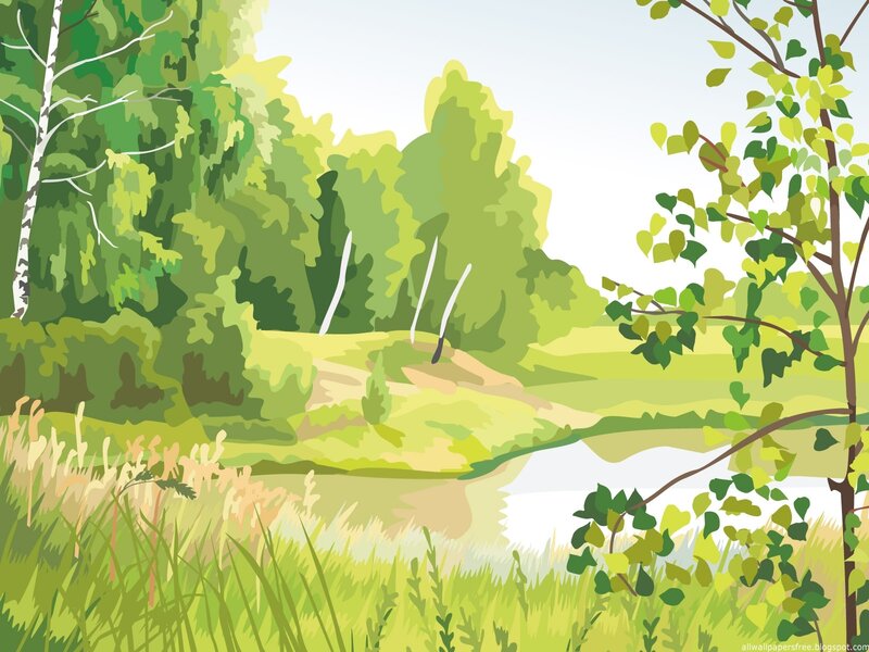 green forest landscape