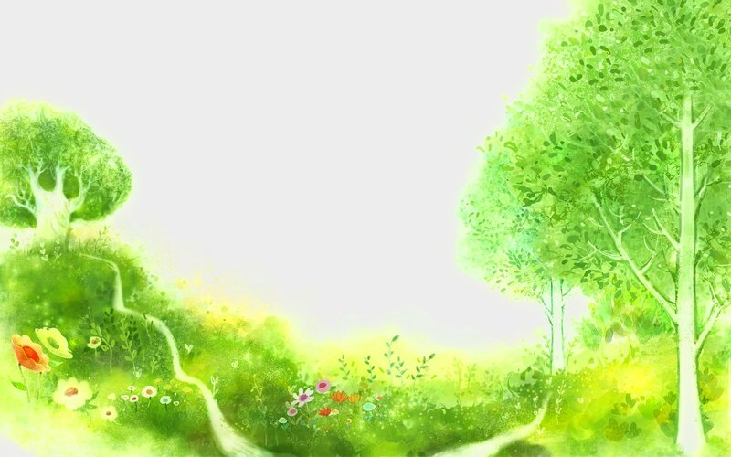 Green Forest Landscape — Serene, Morning