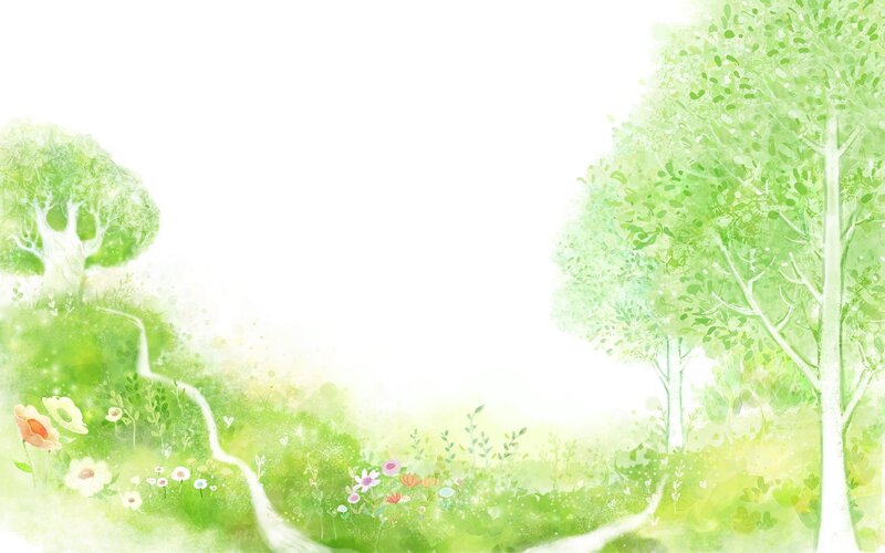 green forest landscape