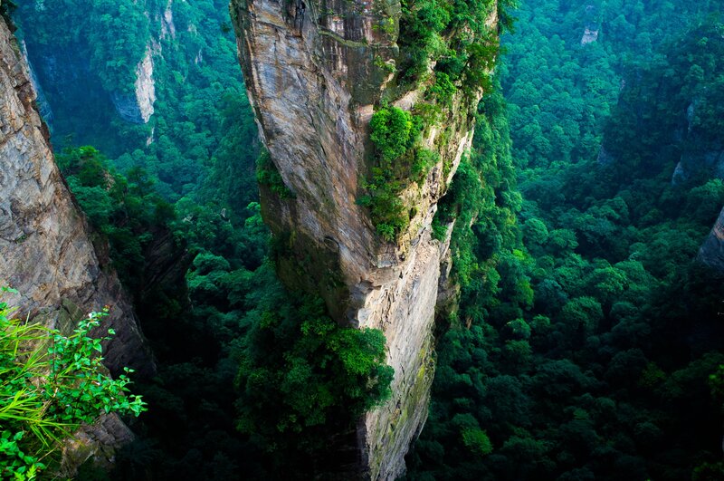 Green Forest Valley — Dramatic