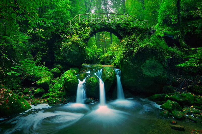 Green Forest Waterfall — Serene