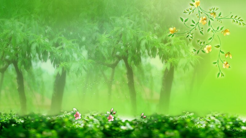 Green Forest with Flowers