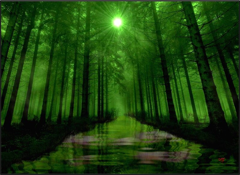 Green Forest with Stream — Mysterious