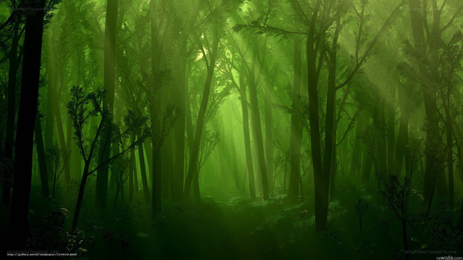 Green forest with sunbeams