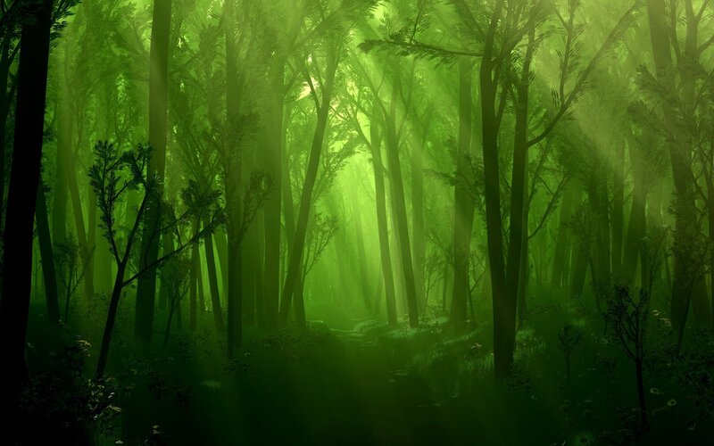 Green Forest with Sunlight — Serene, Morning, Digital Art, Trees, Path