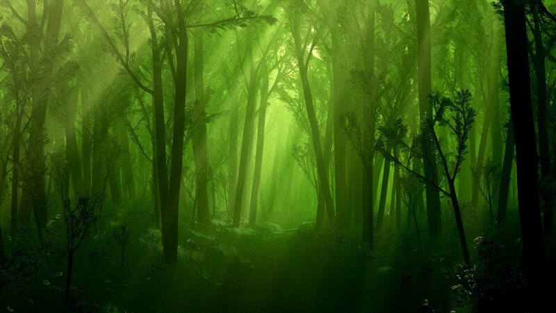 Green Forest with Sunlight — Serene, Morning, Digital Art, Trees