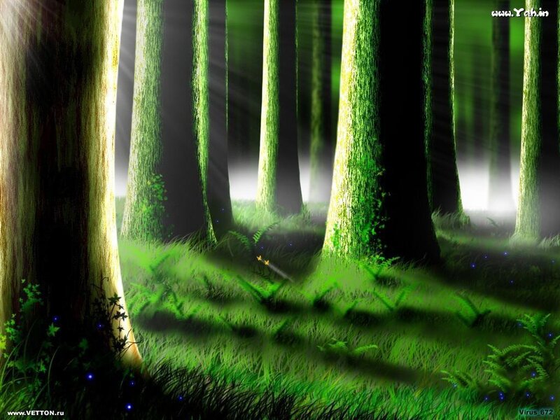 Green Forest with Sunlight — Serene, Night