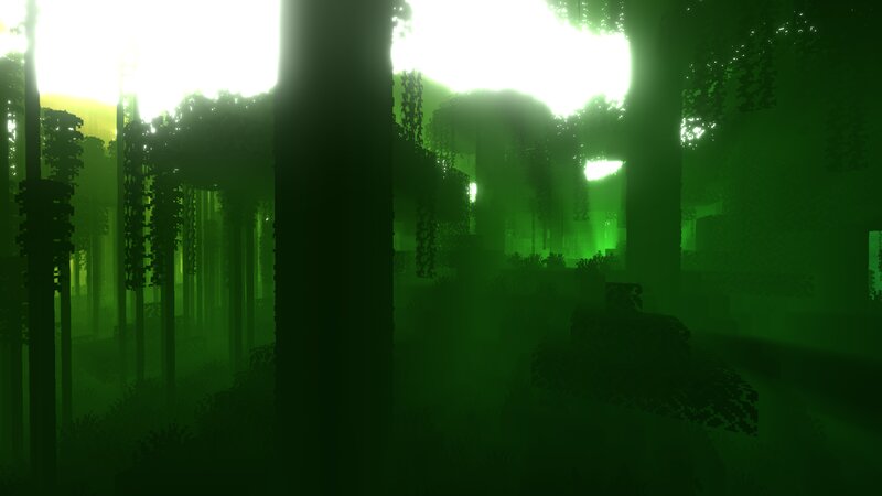 Green Forest with Trees — Mysterious