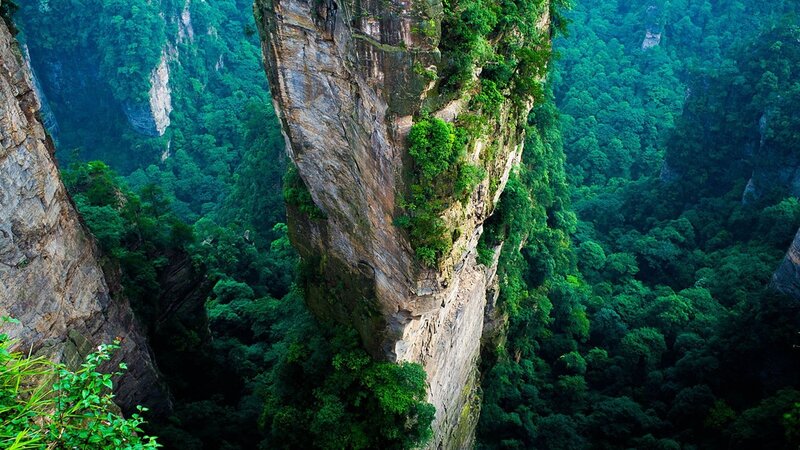 Green Forested Canyon — Serene