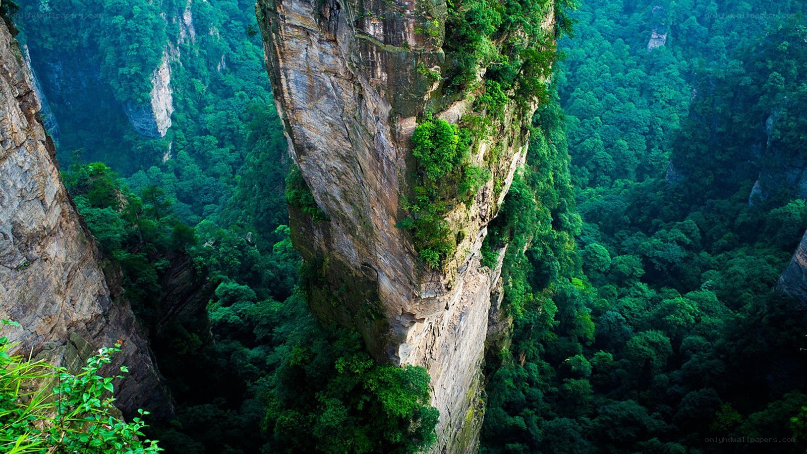 Green forested cliffs