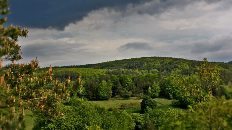 Green Forested Hill — Dramatic