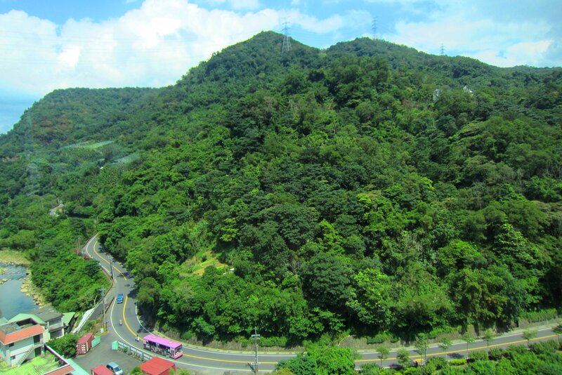 Green Forested Hill — Serene