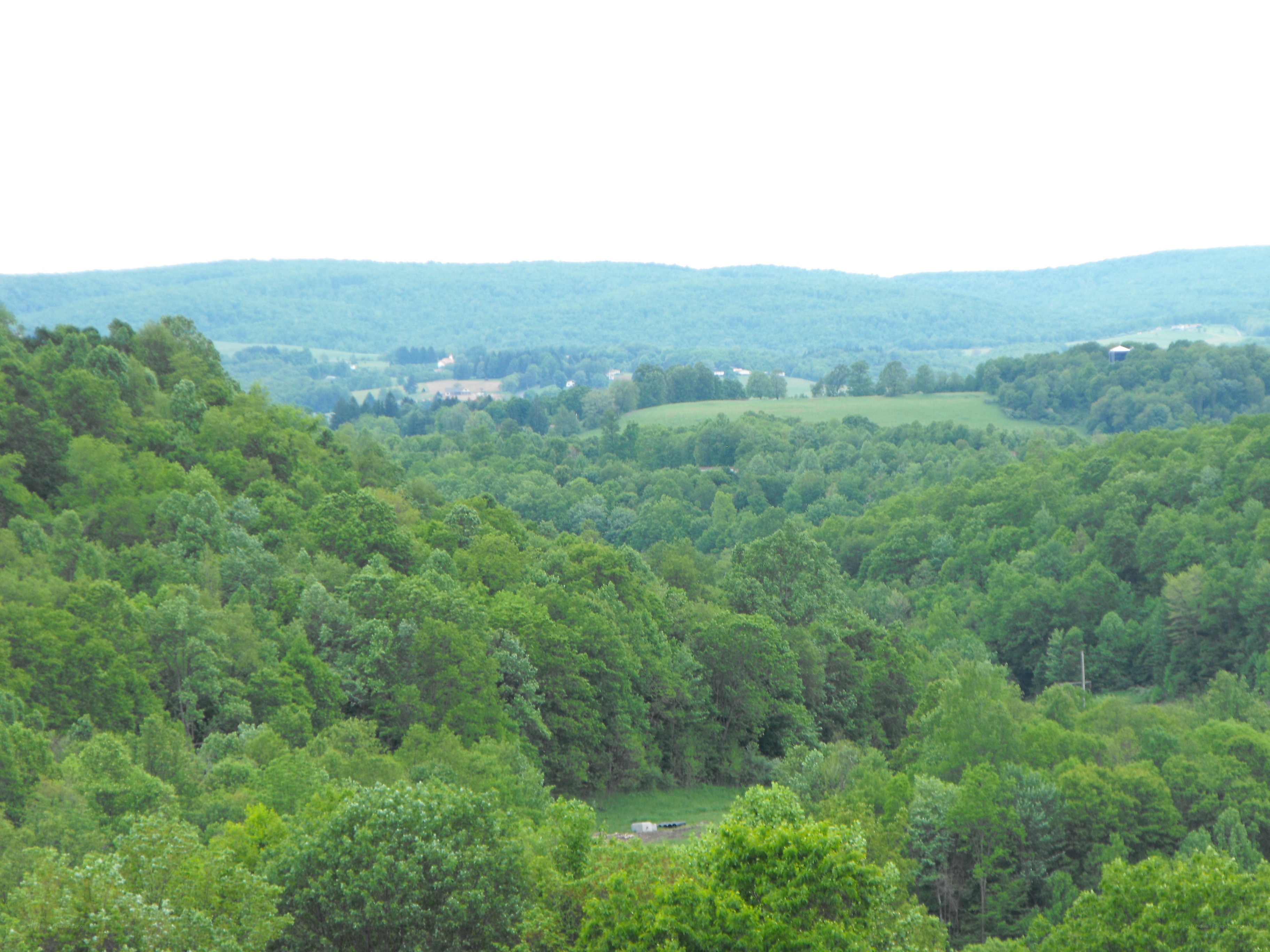green forested hills landscape