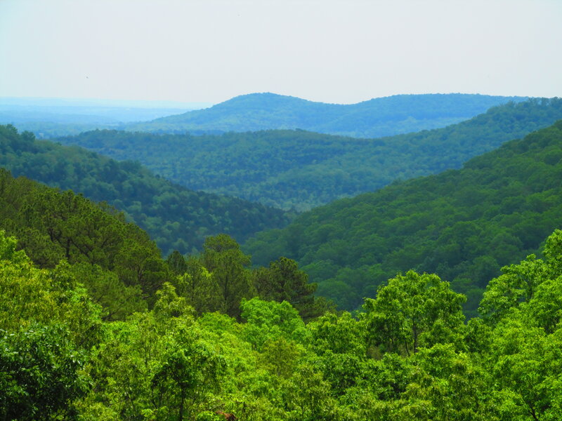 Green Forested Hills — Serene, Afternoon