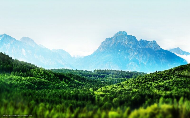 Green Forested Hills — Serene, Morning
