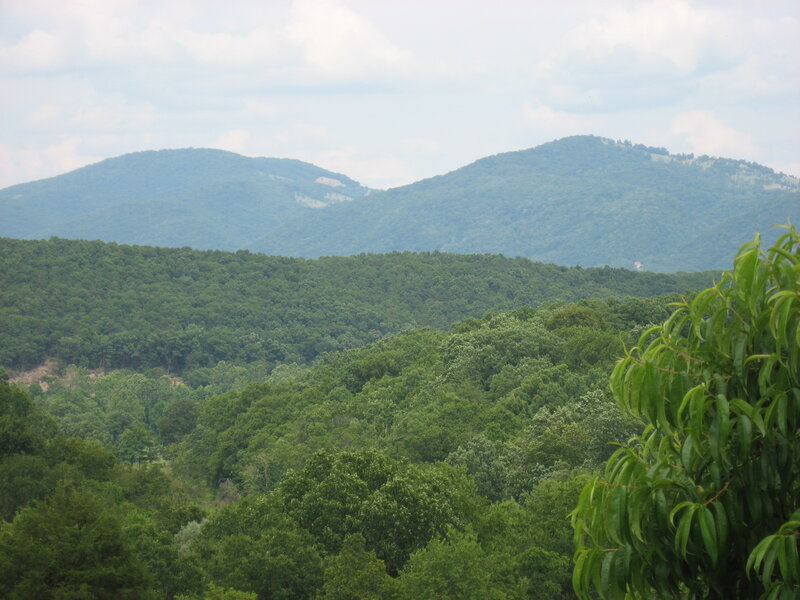 Green Forested Hills — Serene