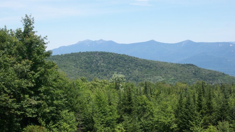 Green Forested Hills