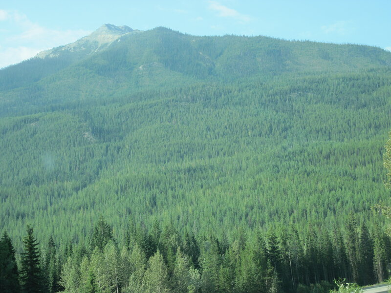 Green Forested Mountain — Serene, Afternoon, Photograph