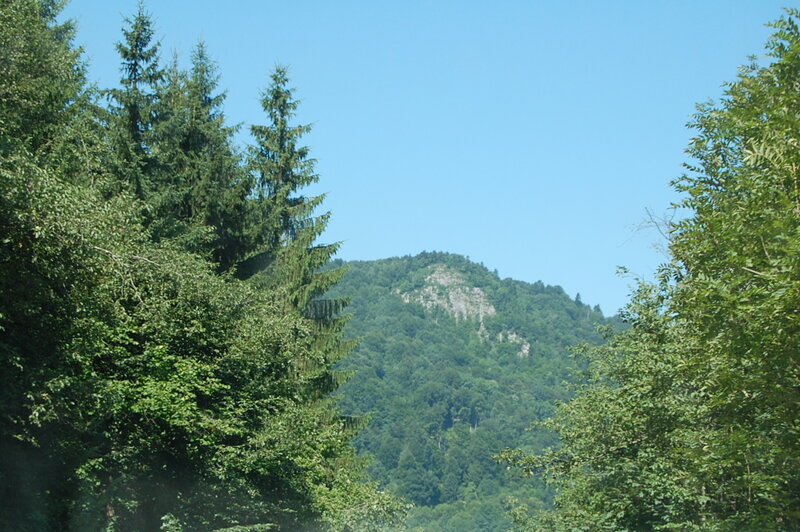 Green Forested Mountain — Serene, Afternoon