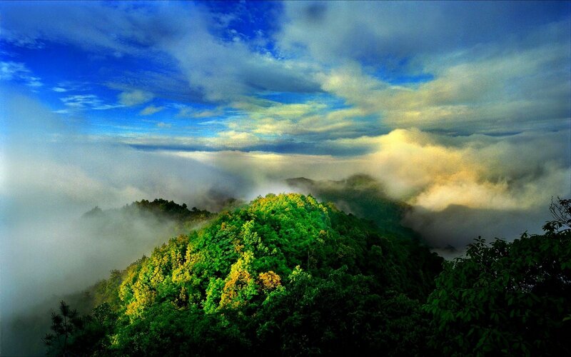 Green Forested Mountain — Serene, Morning