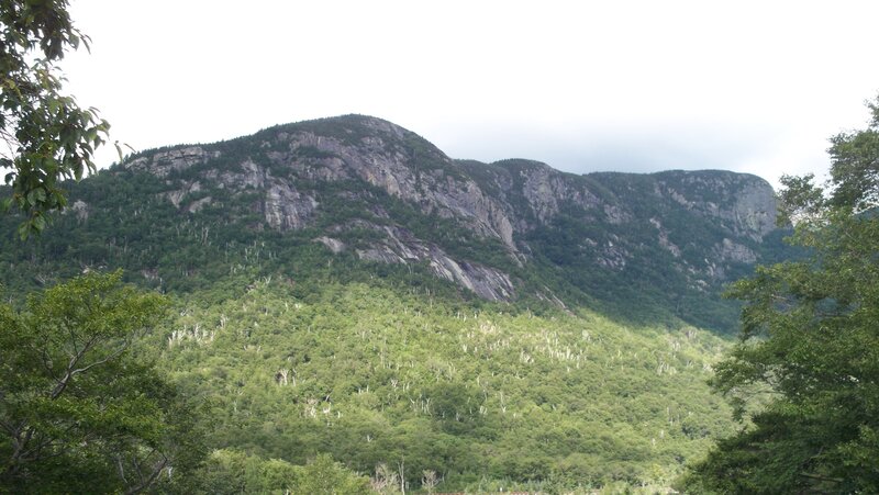 Green Forested Mountain — Serene