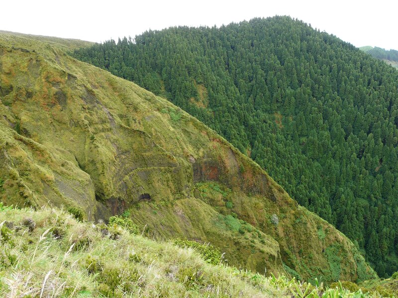Green forested mountain slope