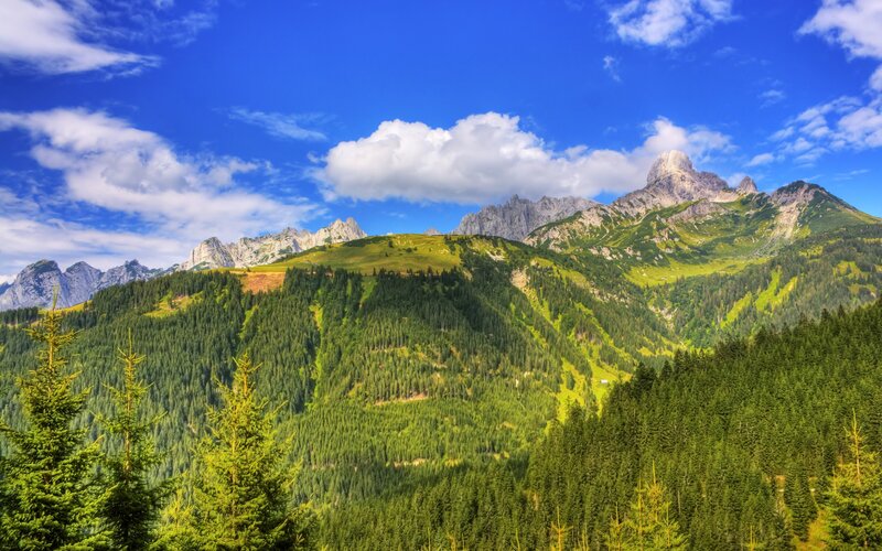 Green Forested Mountains — Blue, Serene, Afternoon