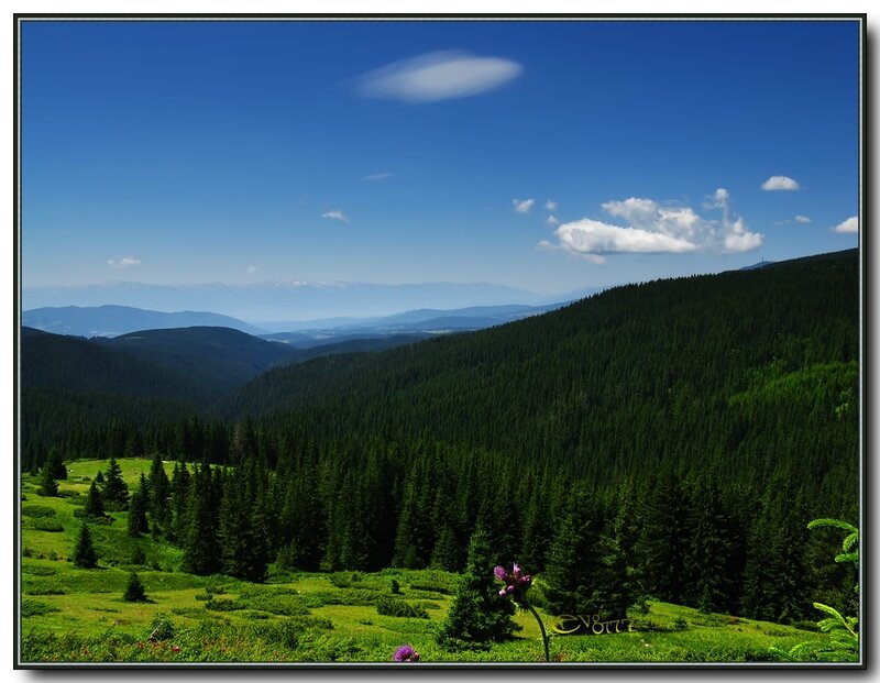 Green Forested Mountains — Blue