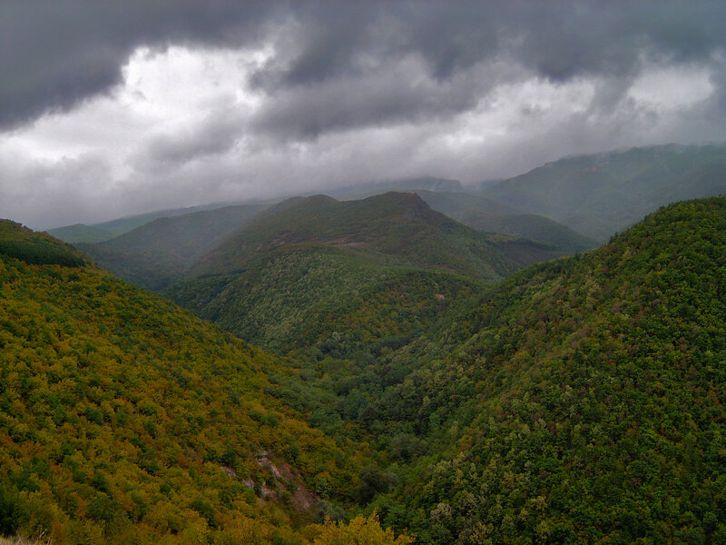 Green Forested Mountains — Dramatic, Photograph