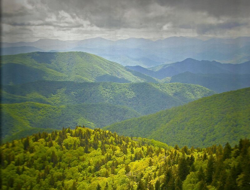 Green Forested Mountains — Dramatic