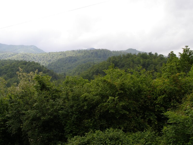 Green Forested Mountains — Overcast