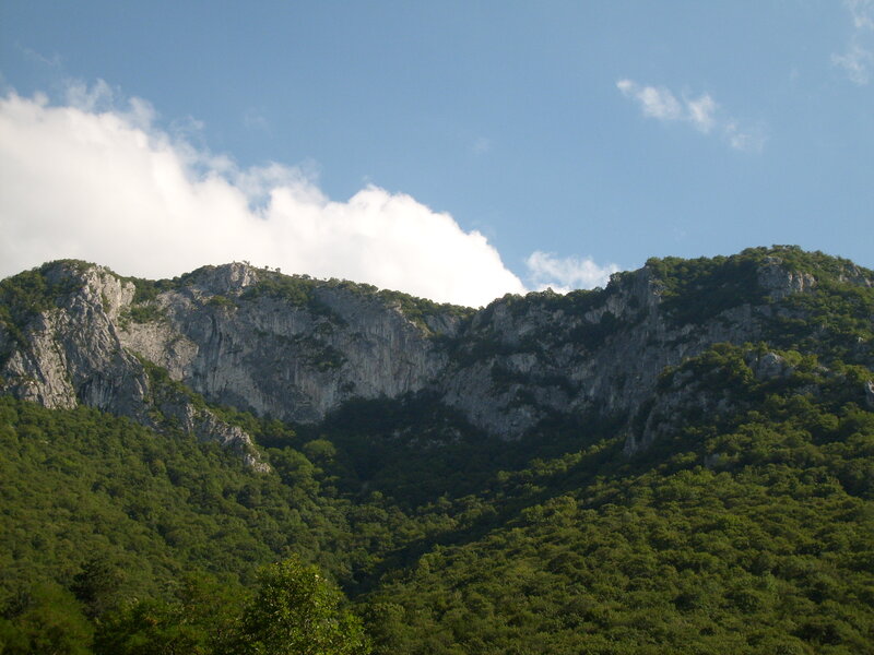 Green Forested Mountains — Serene, Afternoon