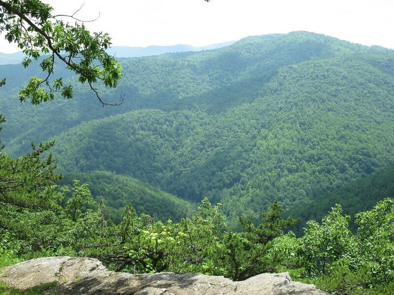 green forested mountains view