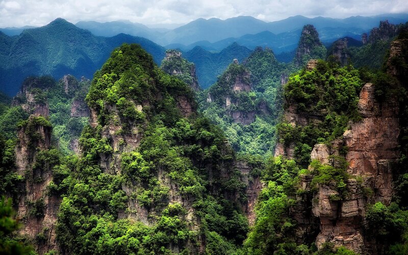 Green Forested Pillars