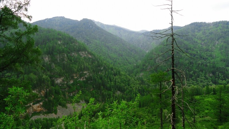 Green Forested Valley — Serene, Afternoon, Photograph, Mountains, Trees