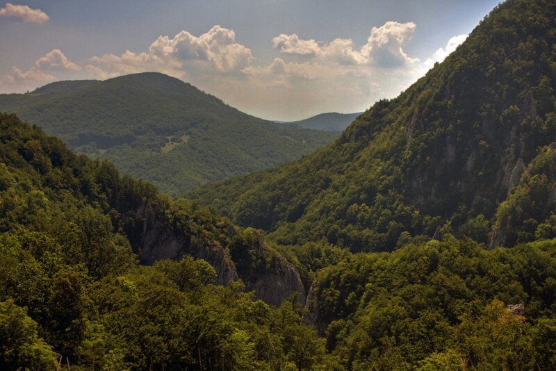 Green Forested Valley — Serene, Afternoon, Photograph