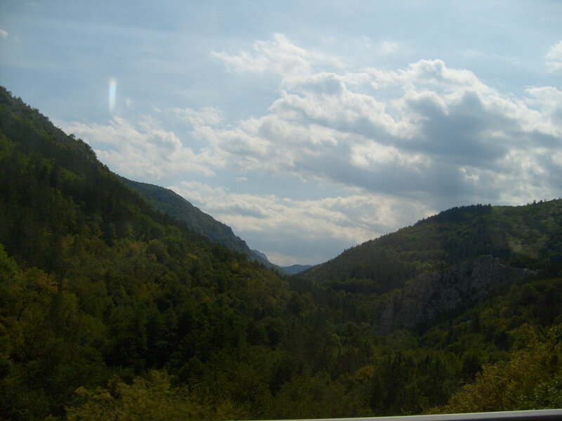 Green Forested Valley — Serene, Afternoon