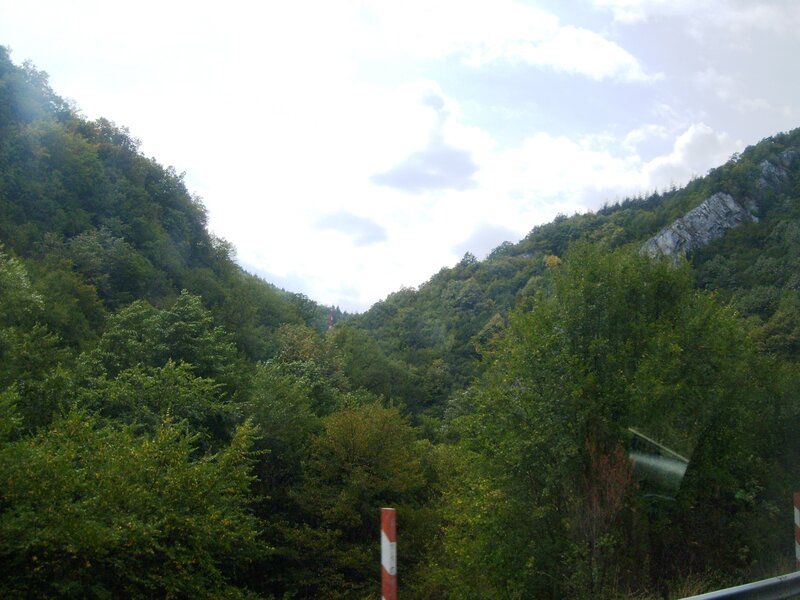 Green Forested Valley — Serene