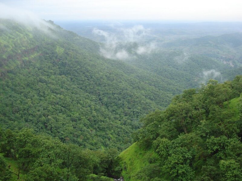 green forested valley with mist