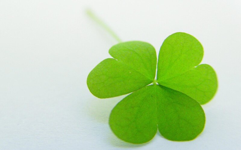 green four-leaf clover