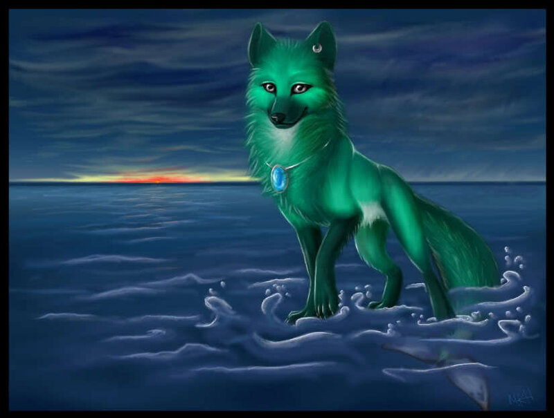 green fox in the water