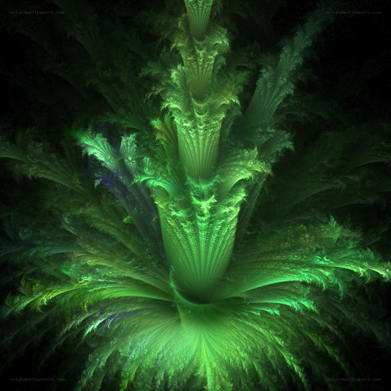 Green fractal abstract pattern