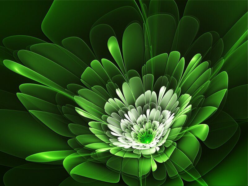 Green Fractal Flower — Abstract