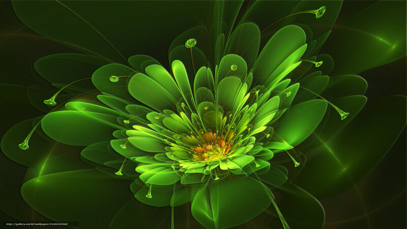 Green fractal flower bloom