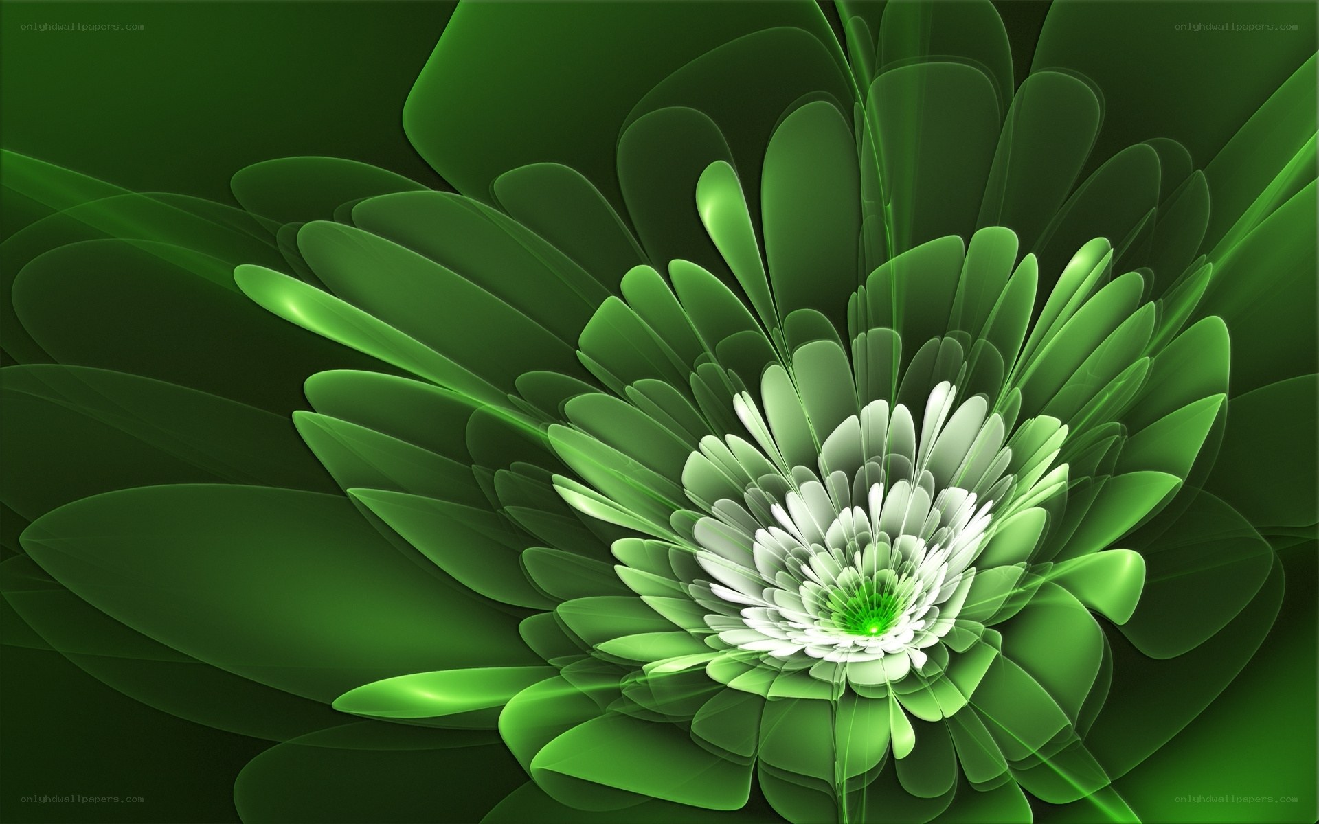 Green fractal flower bloom